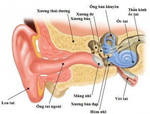 Chữa viêm tai xương chũm